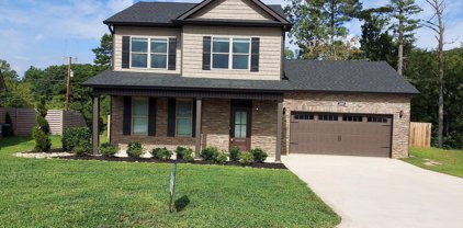 1485 Dream Catcher Drive, Knoxville