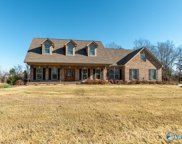 210 Deer Run Circle, Rogersville image