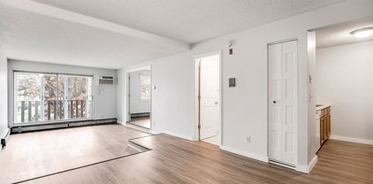 1601 N Innsbruck Drive Unit #281, Fridley