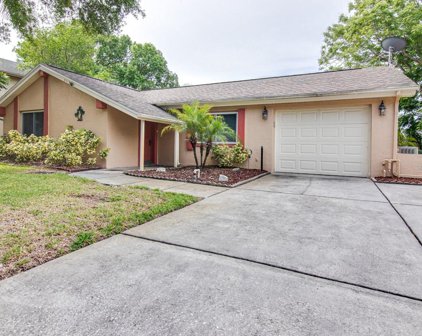 8312 Mill Creek Lane, Hudson