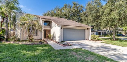 3304 Del Prado Court, Tampa