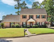 1111 Lodgehill Lane, Houston image