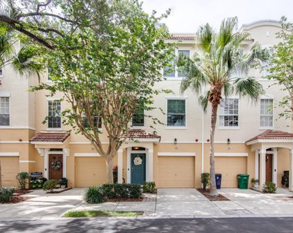 3183 Bayshore Oaks Drive, Tampa