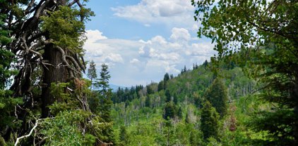 1558 Tollgate Canyon Road, Coalville