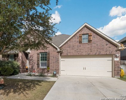 2083 Western Pecan, New Braunfels