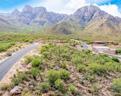 10605 N Del Sole Unit #79, Oro Valley