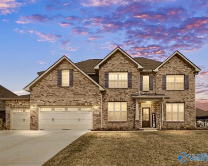 207 Willow Bank Circle, Decatur