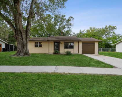 2928 Java Plum Avenue, Sarasota