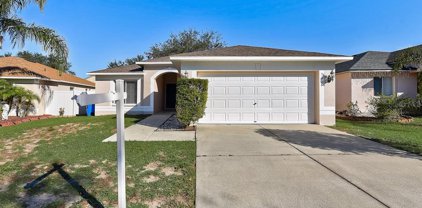 3108 Summer House Drive, Valrico