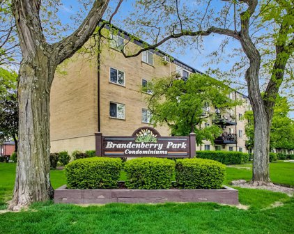 2515 E Olive Street Unit #3H, Arlington Heights