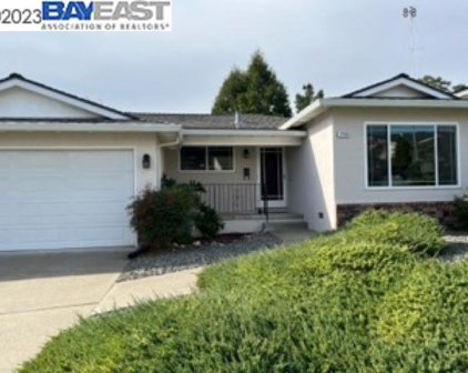 17745 Hillside Ct, Castro Valley