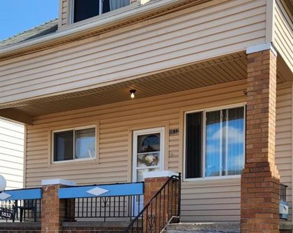 3832 Belmont, Hamtramck