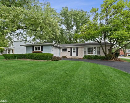 205 E Knob Hill Drive, Arlington Heights