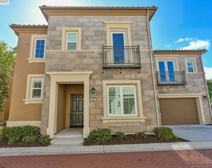 1297 Bayberry View Ln, San Ramon