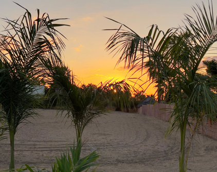 Lot Los Jardines, Pacific