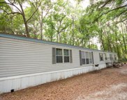 390 Ne 400th Ave 32680, Old Town image