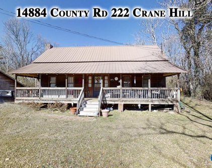 14884 County Road 222, Crane Hill