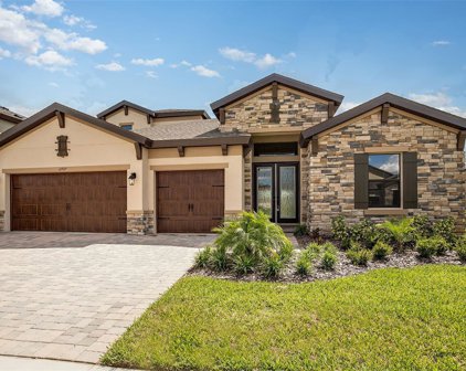 12727 Bergstrom Bay Drive, Riverview
