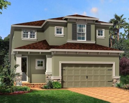 31936 Asbury Avenue, Wesley Chapel