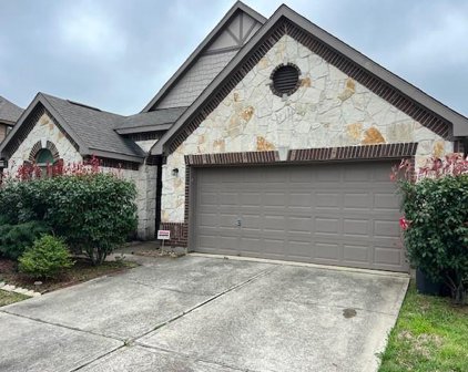 6016 Little Grove Drive, Pearland