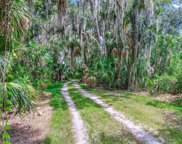 11002 Mizelle Creek Trail, Lithia image