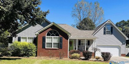1202 Fulton Street, Albertville