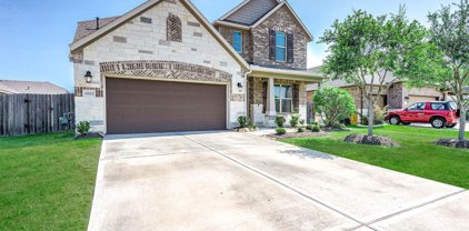 19123 Shoreside Terrace Drive, Manvel