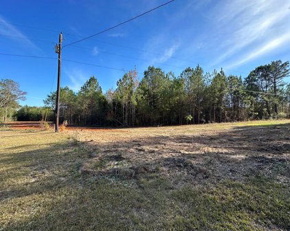 Lot 14 County Road 603, New Brockton