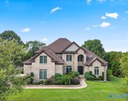 102 Grand Vista Drive, Madison image
