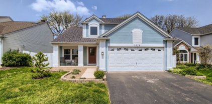 1428 Snow Drift Circle, Bartlett