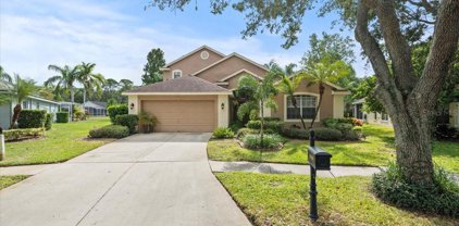 10409 Lightner Bridge Drive, Tampa
