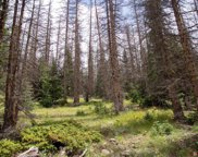 TBD Forest Rd 503, Creede image
