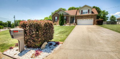 405 BONNY CASTLE ROAD, Clarksville