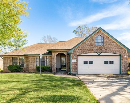 107 Bumelia Street, Lake Jackson