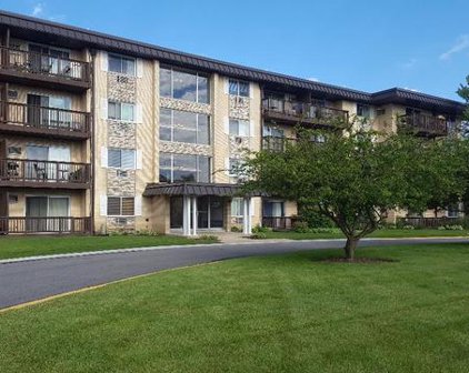 2218 S Goebbert Road Unit #187, Arlington Heights