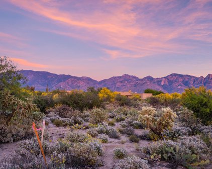 14 W Shimmering Sand Unit #Lot 494, Oro Valley