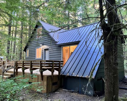 75094 E ROAD 28A, Rhododendron