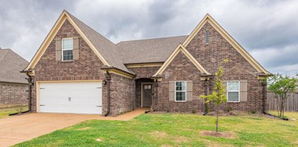3765 Pennel Place, Southaven