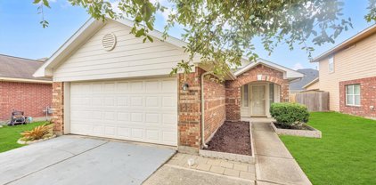 20739 Hardwick Oaks Drive, Houston