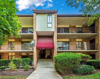 13213 Dairymaid Dr Unit #204, Germantown