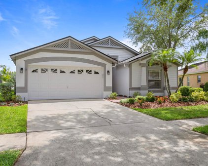 18018 Arbor Crest Drive, Tampa