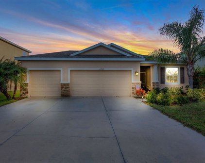 14908 Trinity Fall Way, Bradenton