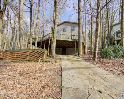 318 Lucas Gap Road, Guntersville