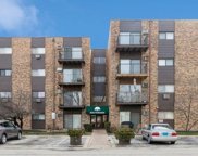 8936 N Parkside Avenue Unit #204, Des Plaines image