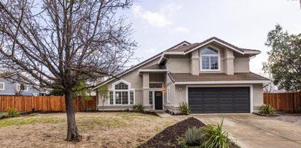 433 Summertree Drive, Livermore