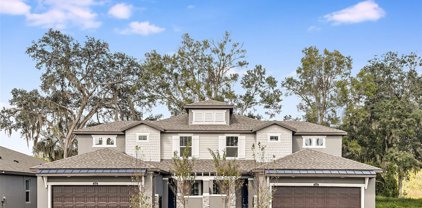 328 Villa Corte Drive, Lutz