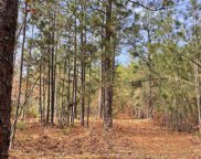 1054 Gary Goff Road, Elgin image