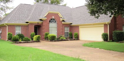 9107 Lakeview Cove, Olive Branch