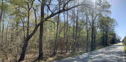 1737 N Second Neck Rd., Johnsonville