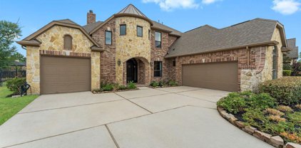 5519 Bright Timber Landing Drive, Spring